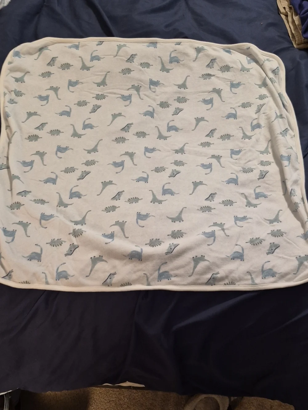 Soft White Baby Blanket with Light Blue Dinosaur Print